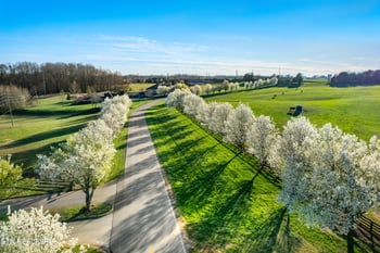 220 Wildwing Dr, Vonore, TN 37885