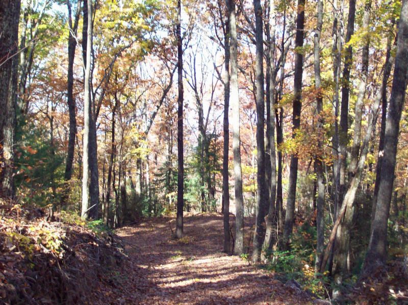 221 Belcher Loop, Tellico Plains, TN 37385