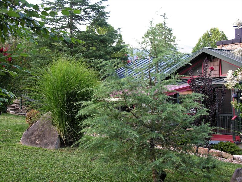 221 E Leatherwood Dr, Walland, TN 37886