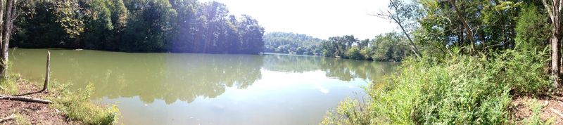 221 Old Blacksferry Ln, Clinton, TN 37716
