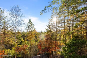 221 Stoney Rock Ln, Jacksboro, TN 37757