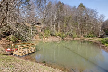 2210 Woodcock Tr, Sevierville, TN 37876