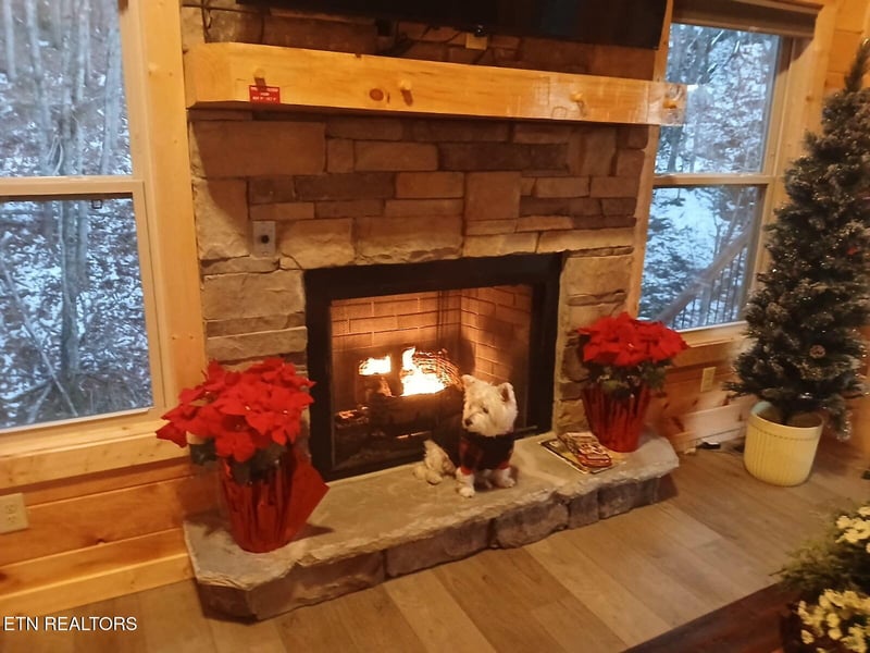 2218 Ridgeland Cir #4, Sevierville, TN 37862