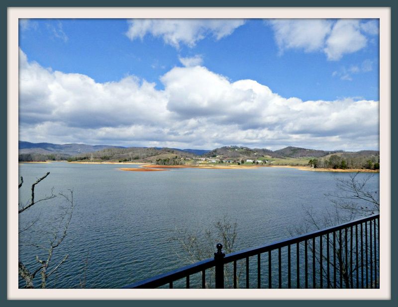 222 Sandpiper Ln, Bean Station, TN 37708