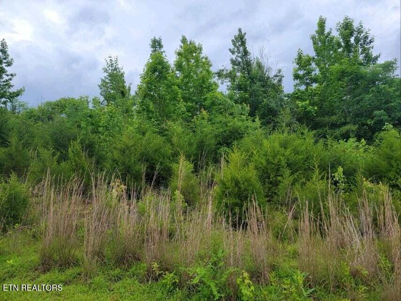 2220 Ruritan Rd, Harriman, TN 37748