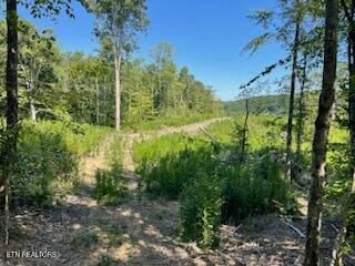2220 Ruritan Rd, Harriman, TN 37748