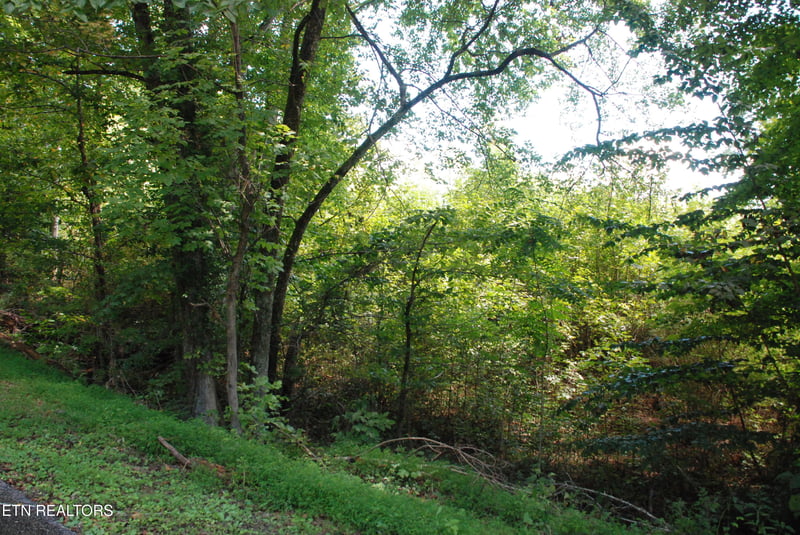 2222320 Vann Dr, Harriman, TN 37748