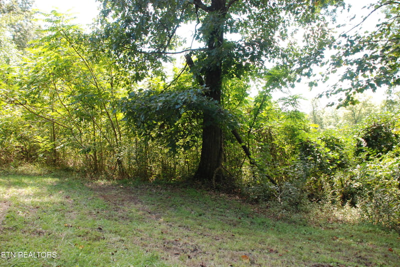 2222320 Vann Dr, Harriman, TN 37748