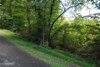 2222320 Vann Dr, Harriman, TN 37748