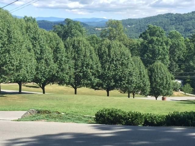 2223 Battle Ground Dr, Pigeon Forge, TN 37863