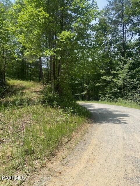 2225 Chilhowee Loop Rd, Walland, TN 37886