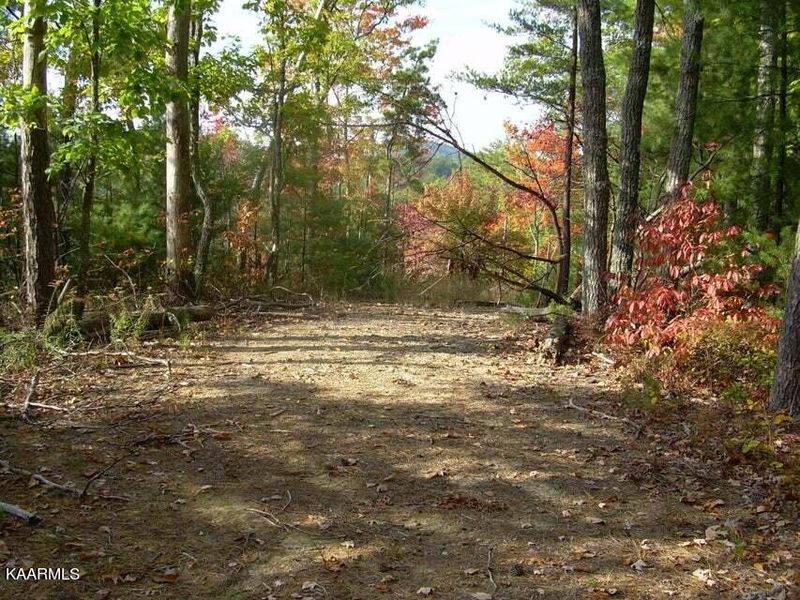 2225 Chilhowee Loop Rd, Walland, TN 37886