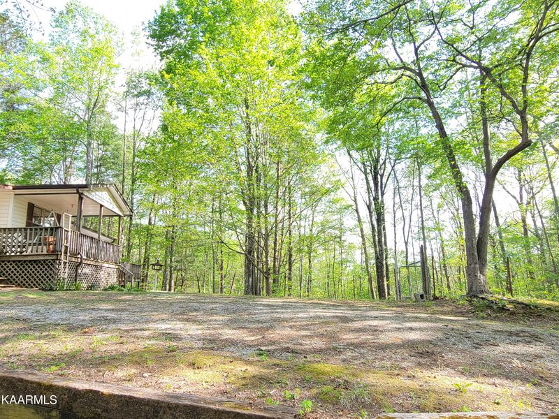2226 Litton Rd, Oneida, TN 37841