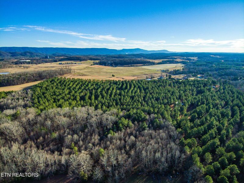 2227 County Road 561 Tract 4, Englewood, TN 37329