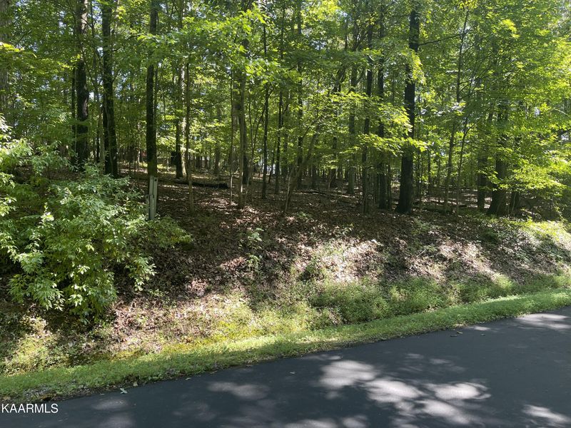 223 Chahyga Cir, Loudon, TN 37774