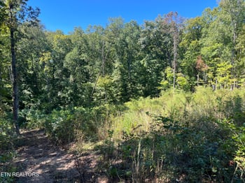 223 Clear Springs Rd, Harriman, TN 37748