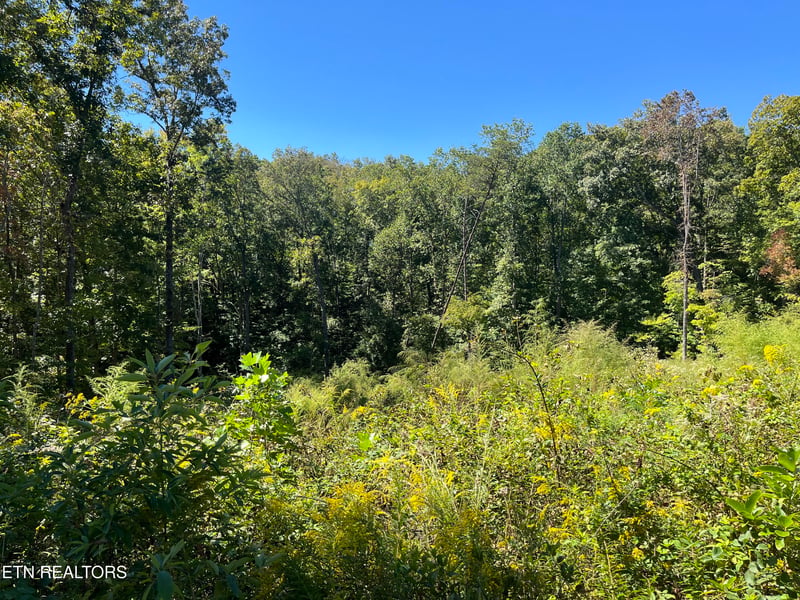 223 Clear Springs Rd, Harriman, TN 37748