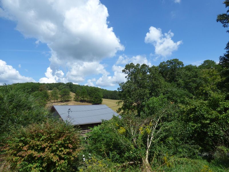 2233 Henderson Springs Rd, Pigeon Forge, TN 37863