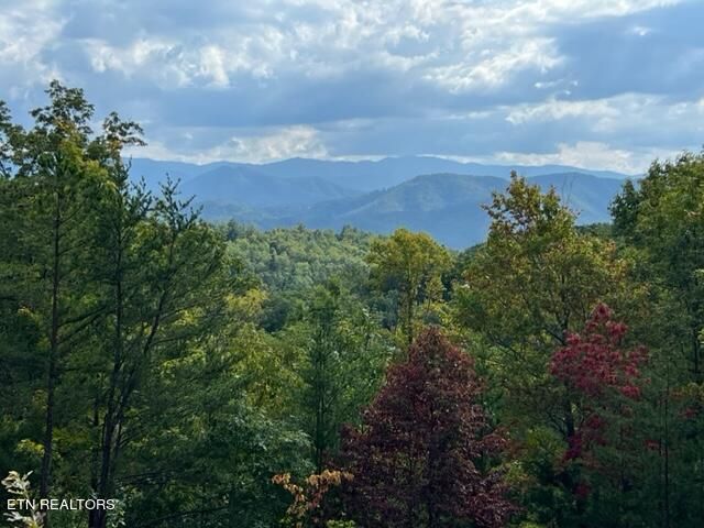 2235 Bluff Mountain Rd, Sevierville, TN 37876