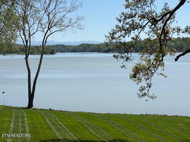 2239 Lake Ln, Knoxville, TN 37919