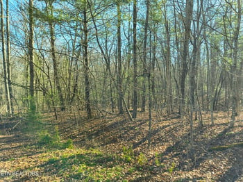 224 Newgate Rd, Crossville, TN 38558