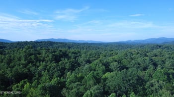 2240 Mt Pleasant Rd, Vonore, TN 37885