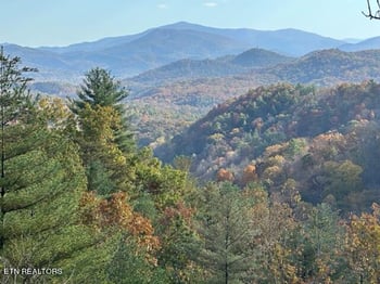 225 Kelly Ridge Rd, Townsend, TN 37882