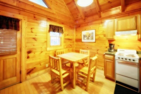 225 Moose Ridge Way, Pigeon Forge, TN 37863