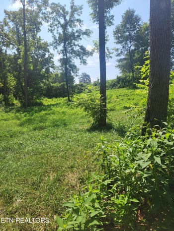 2255 Hubbard Rd, Loudon, TN 37774