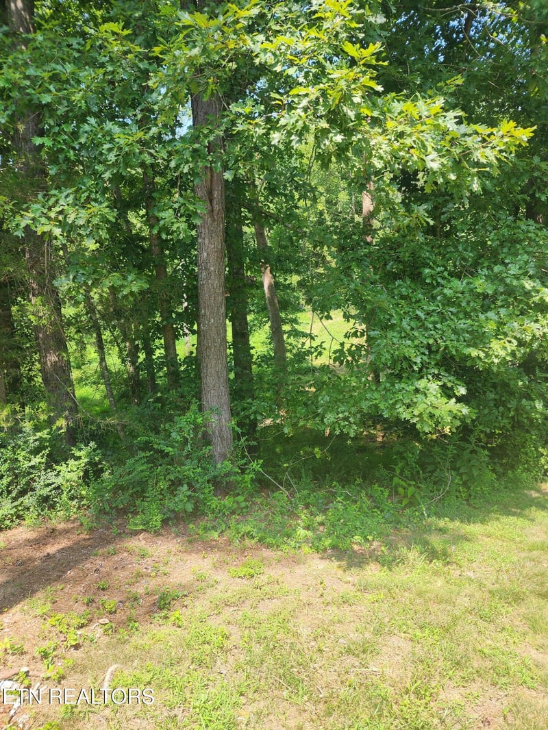 2255 Hubbard Rd, Loudon, TN 37774