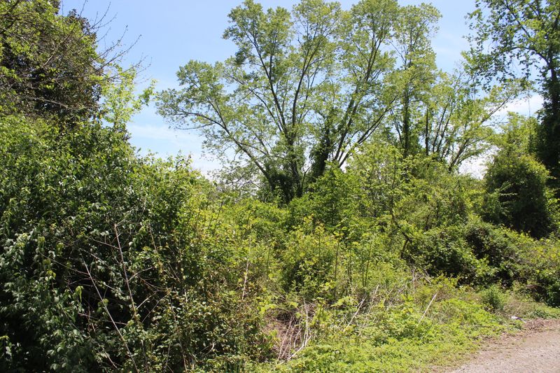 226 Hillside Dr, Lafollette, TN 37766