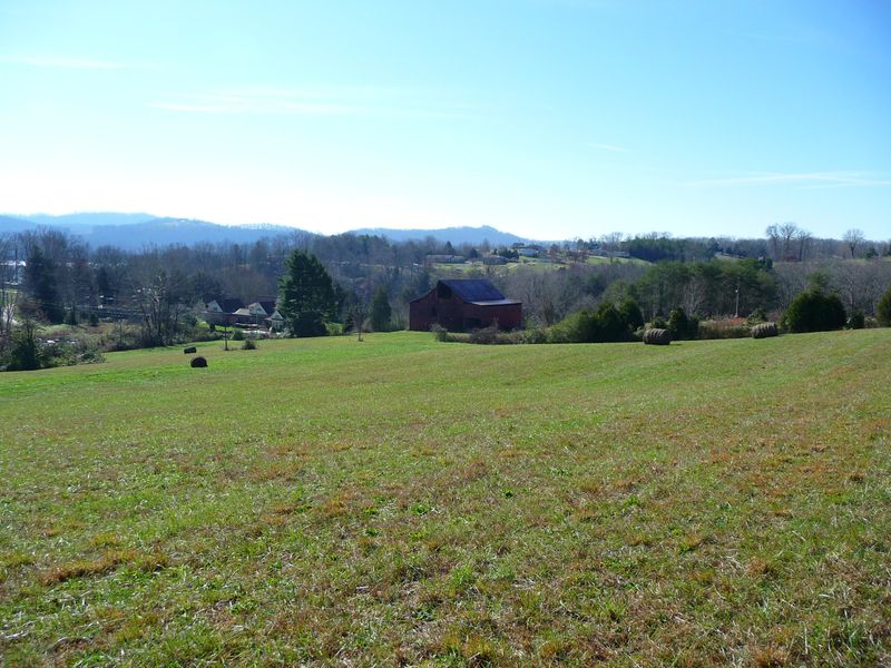 226 Shelby Loop, New Tazewell, TN 37825
