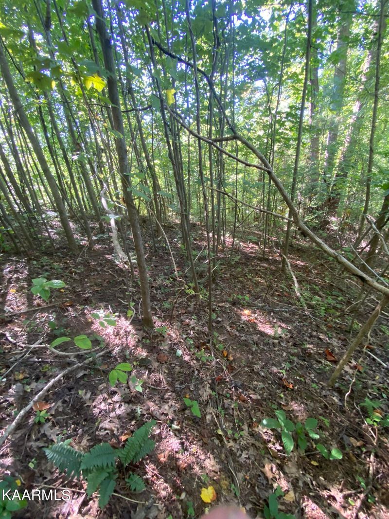 2262 Mcspadden Rd, Maryville, TN 37803