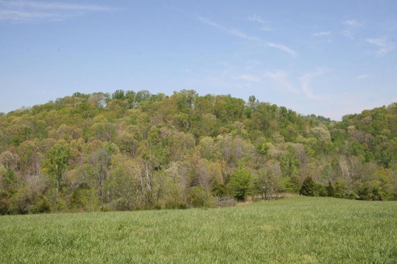 2265 Peterson Rd, Greenback, TN 37742