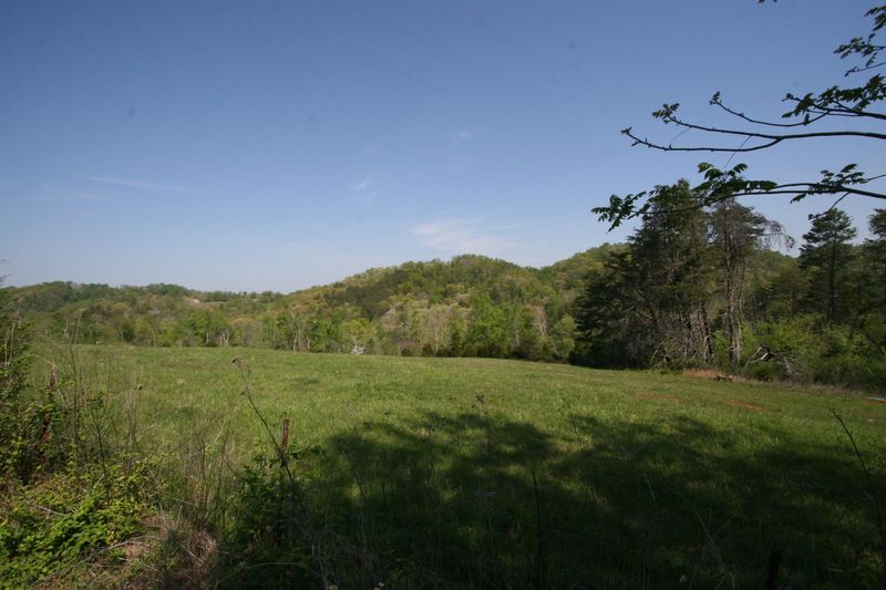 2265 Peterson Rd, Greenback, TN 37742