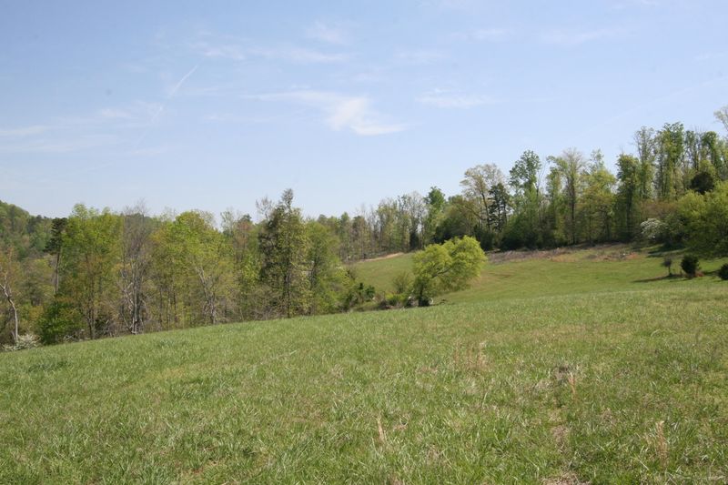 2265 Peterson Rd, Greenback, TN 37742