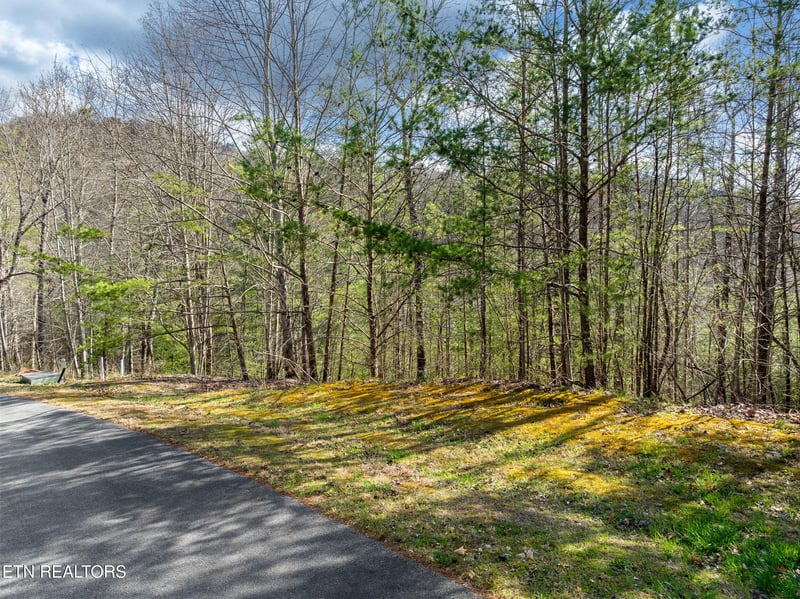 227 Black Powder Ct, Walland, TN 37886