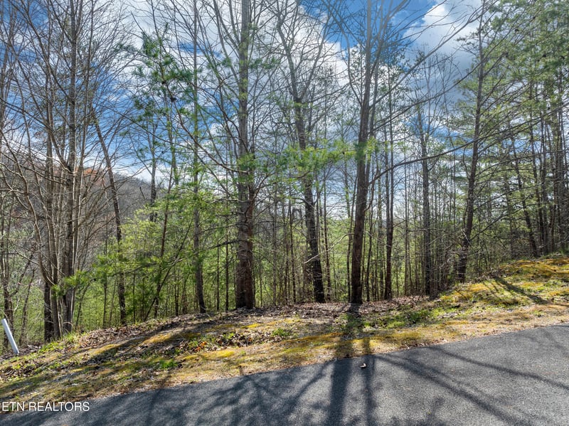 227 Black Powder Ct, Walland, TN 37886