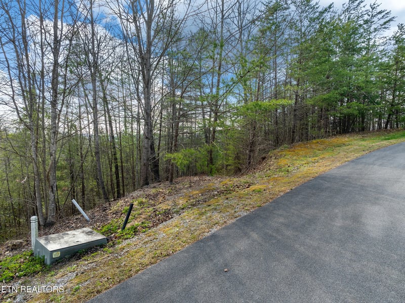 227 Black Powder Ct, Walland, TN 37886