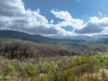 227 Black Powder Ct, Walland, TN 37886