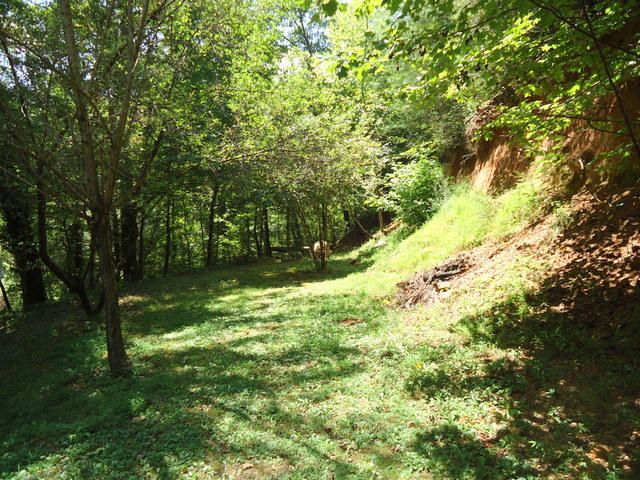 2273 Citico Rd, Vonore, TN 37885