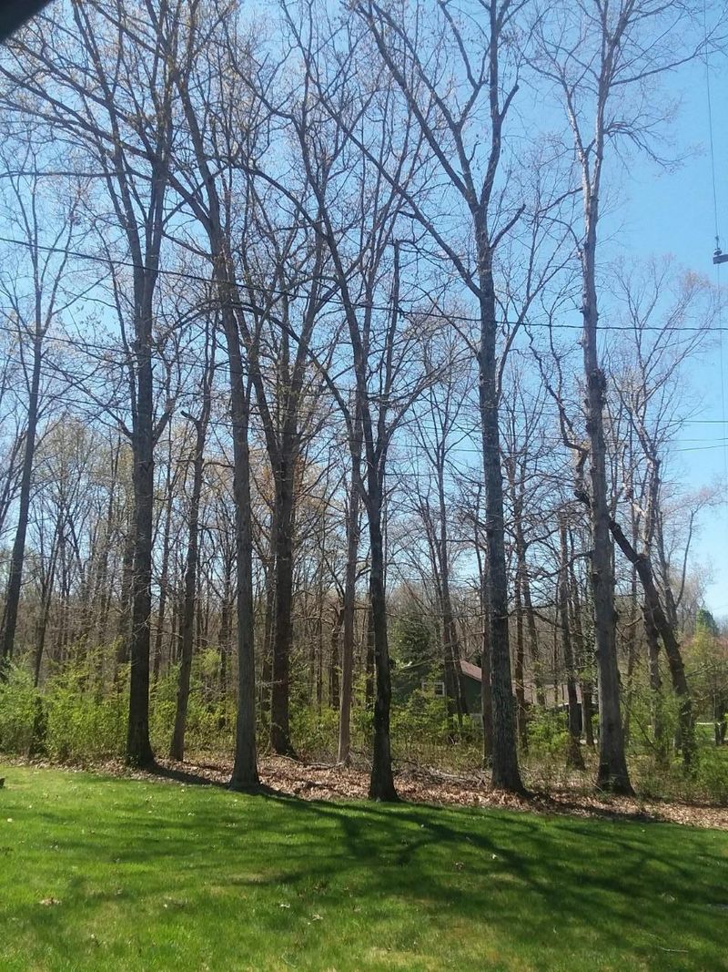 228 Lakeview Dr, Crossville, TN 38558