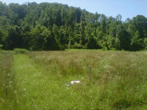 228 Laurel Bluff Rd, Kingston, TN 37763