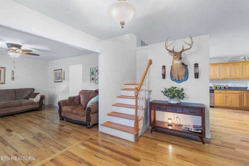 228 Mullins Ln, Sunbright, TN 37872