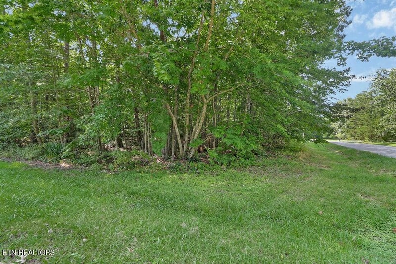 228 Pomeroy Dr, Crossville, TN 38558