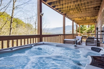 228 Tolliver Tr, Townsend, TN 37882