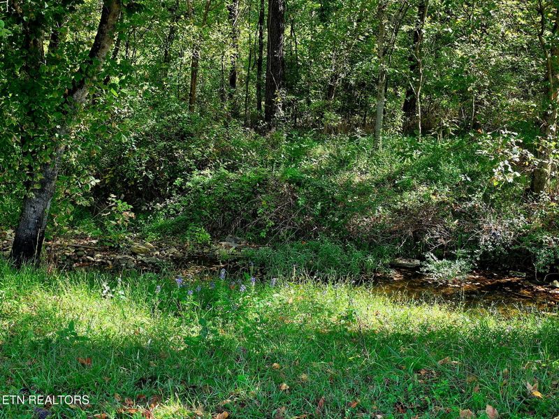 2285 Douglas Dam Rd, Pigeon Forge, TN 37876