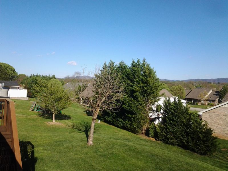 2286 Willingham Ln, Maryville, TN 37803