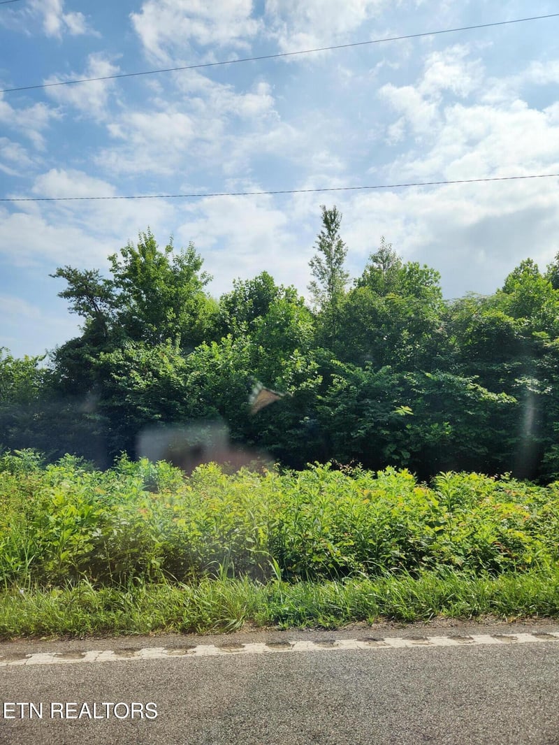 2288 Mecca Pike, Tellico Plains, TN 37385