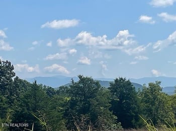 2288 Mecca Pike, Tellico Plains, TN 37385